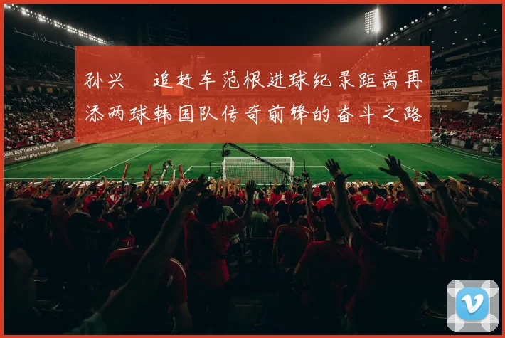 孙兴慜追赶车范根进球纪录距离再添两球韩国队传奇前锋的奋斗之路